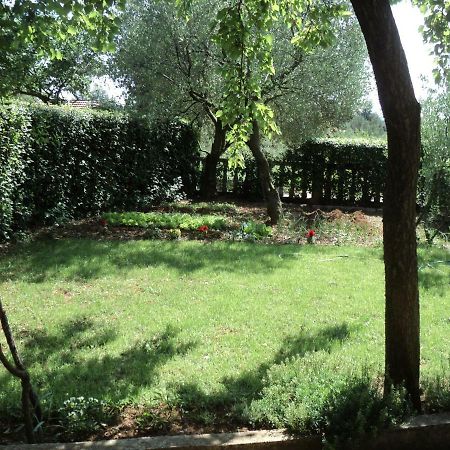 Apartment Martina Биоград на Мору Екстериор снимка