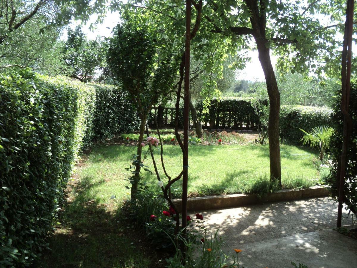 Apartment Martina Биоград на Мору Екстериор снимка