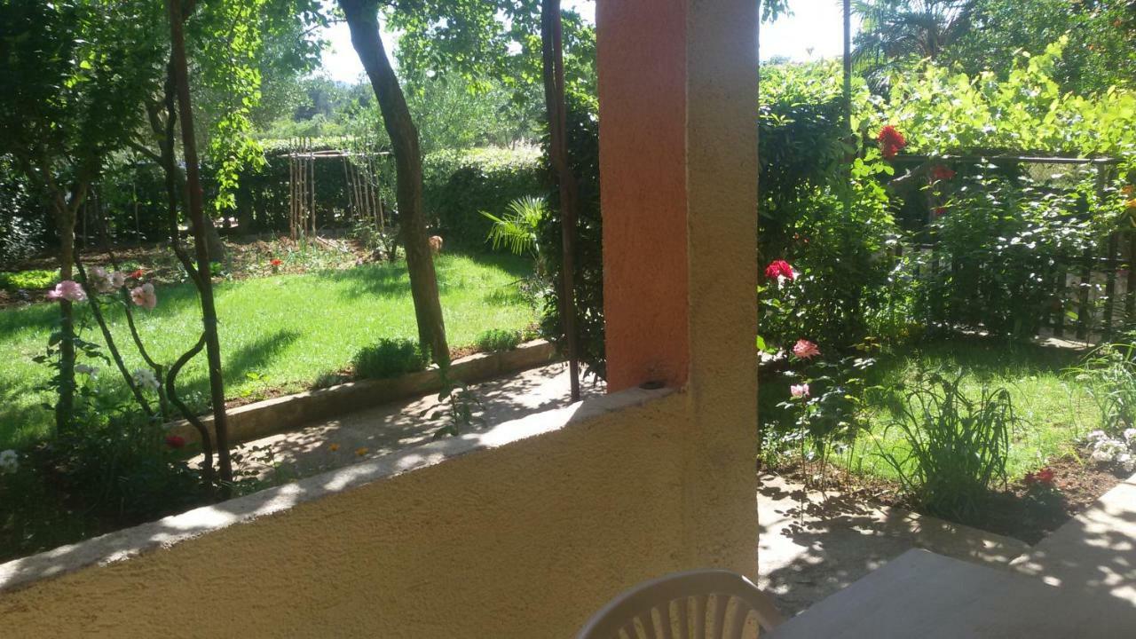 Apartment Martina Биоград на Мору Екстериор снимка